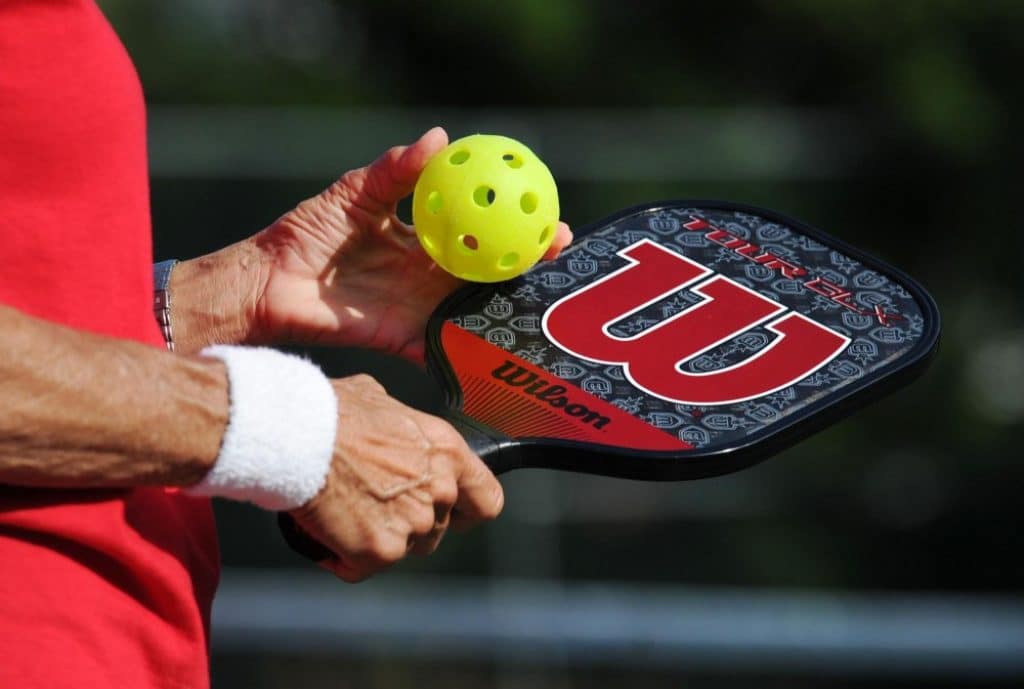 10 Best Pickleball Balls Selection and Reviews (Feb. 2024)