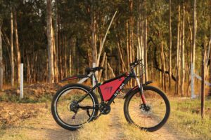 9 Best Electric Bikes Under $2000